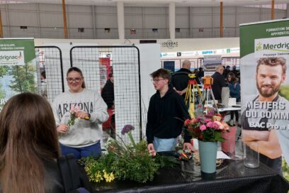 Agrandir l'image, fenêtre modale