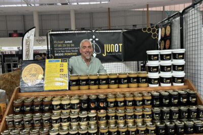 Agrandir l'image 9 sur 28, fenêtre modale