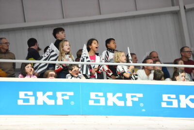 Agrandir l'image 2 sur 33, fenêtre modale