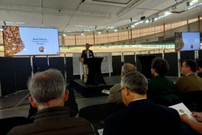 Agrandir l'image 3 sur 3, fenêtre modale