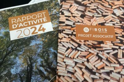 Agrandir l'image 2 sur 3, fenêtre modale